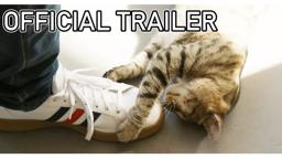 The Cat Town Story | Official Documentary Trailer 4k 😺📽