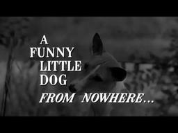 Goodbye, My Lady Trailer 1956