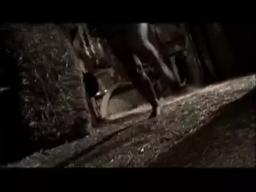 Ed Gein: The Butcher Of Plainfield - Trailer