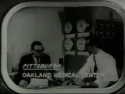 Night Of The Day Of The Dawn Of The Son Of The Bride Of The.