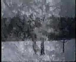 RED SPIRIT LAKE trailer