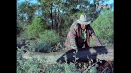 My Survival as an Aboriginal (1978) - Tracking animals