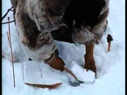 At the Spring Sea Ice Camp (2) - PREVIEW