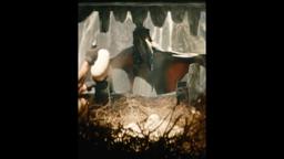 A flying carnivore the size of an F-16