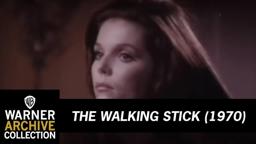 The Walking Stick (Original Theatrical Trailer)