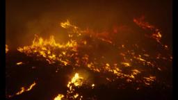 EL MAR LA MAR trailer | BFI London Film Festival 2017