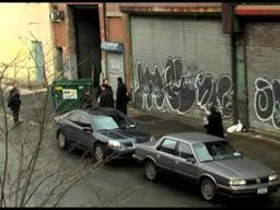 Gut Renovation by Su Friedrich--the trailer.mov