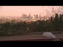 The Majestic Plastic Bag - A Mockumentary