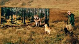 The Serengeti Rules - Trailer