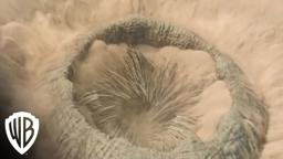 The Sounds of Dune - Behind The Scenes with Denis Villeneuve