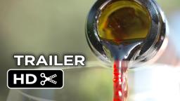 SOMM: Into the Bottle Official Trailer 1 (2015) - Wine Documentary HD