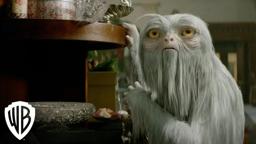 Creatures: Demiguise