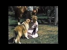 LAD A DOG ~ Movie 1962 (Preview Clip)