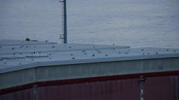 Double Around the Interlude (2022) excerpt