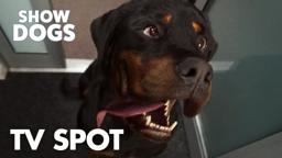 "Bow Wow Review" TV Spot