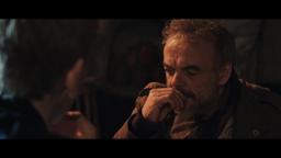 The Fox trailer International