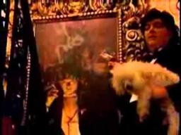 Charlie's Death Wish trailer