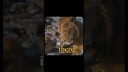 Be the First to Watch at Home Today. Buy It Now Only On Digital