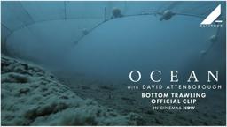 Bottom Trawling Official Clip