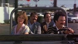 Nobody's Perfekt | 1981 | Free Car