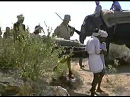 Harry Black (Harry Black et le tigre) - Hugo Fregonese - 1958