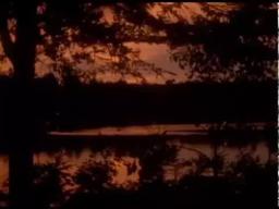 Cove (Robert Todd, 2012)