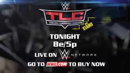 WWE TLC: TABLES, LADDERS, AND CHAIRS 2014