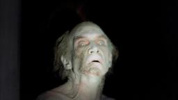 The Sentinel (1977) ORIGINAL TRAILER [HD]