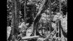 Sons Of Matthew Trailer