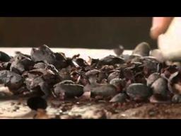 Hot Docs Trailers 2011: THE CHOCOLATE FARMER
