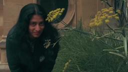 Metaphysical comfort- a short film.