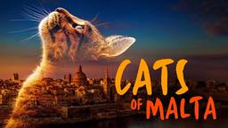 Official Teaser Trailer