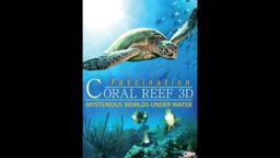 Trailer - FASCINATION CORAL REEF 3D - MYSTERIOUS WORLDS UNDER WATER