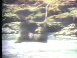 Sasquatch The Legend Of Bigfoot 1977 TV Trailer