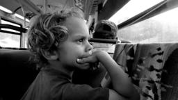 LITTLE FEET Trailer | Festival 2013