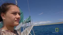 Understanding the Oceans | Sea of Hope: America's Underwater Treasures