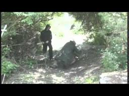 Deadly Dares: Truth Or Dare IV Teaser