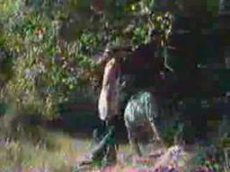 ozone attack of the redneck mutants