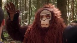 Sasquatch Trailer (Official)