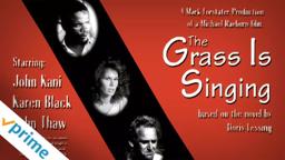 The Grass is Singing | Trailer | Available now