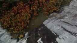 FREIFALL - EINE LIEBESGESCHICHTE    Offiizieller Kino-Trailer