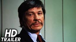 The Stone Killer (1973) ORIGINAL TRAILER [HD 1080p]