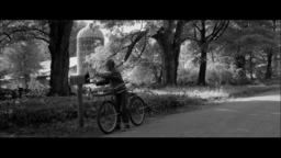 A Tree A Rock A Cloud - Trailer