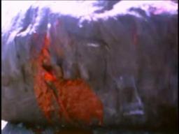 Weasels Rip My Flesh - Nathan Schiff - 1979