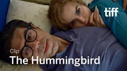 THE HUMMINGBIRD Clip | TIFF 2022