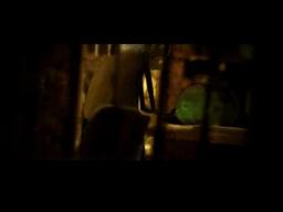 Wilson Periera_teaser.avi