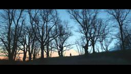 iamamiwhoami; kin album trailer