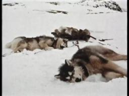 At the Spring Sea Ice Camp - PREVIEW (3)