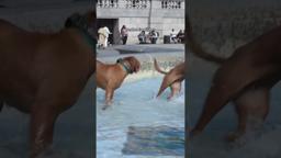 spotted something odd in London today...