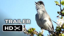 Emptying the Skies Official Trailer 1 (2015) - Documentary HD